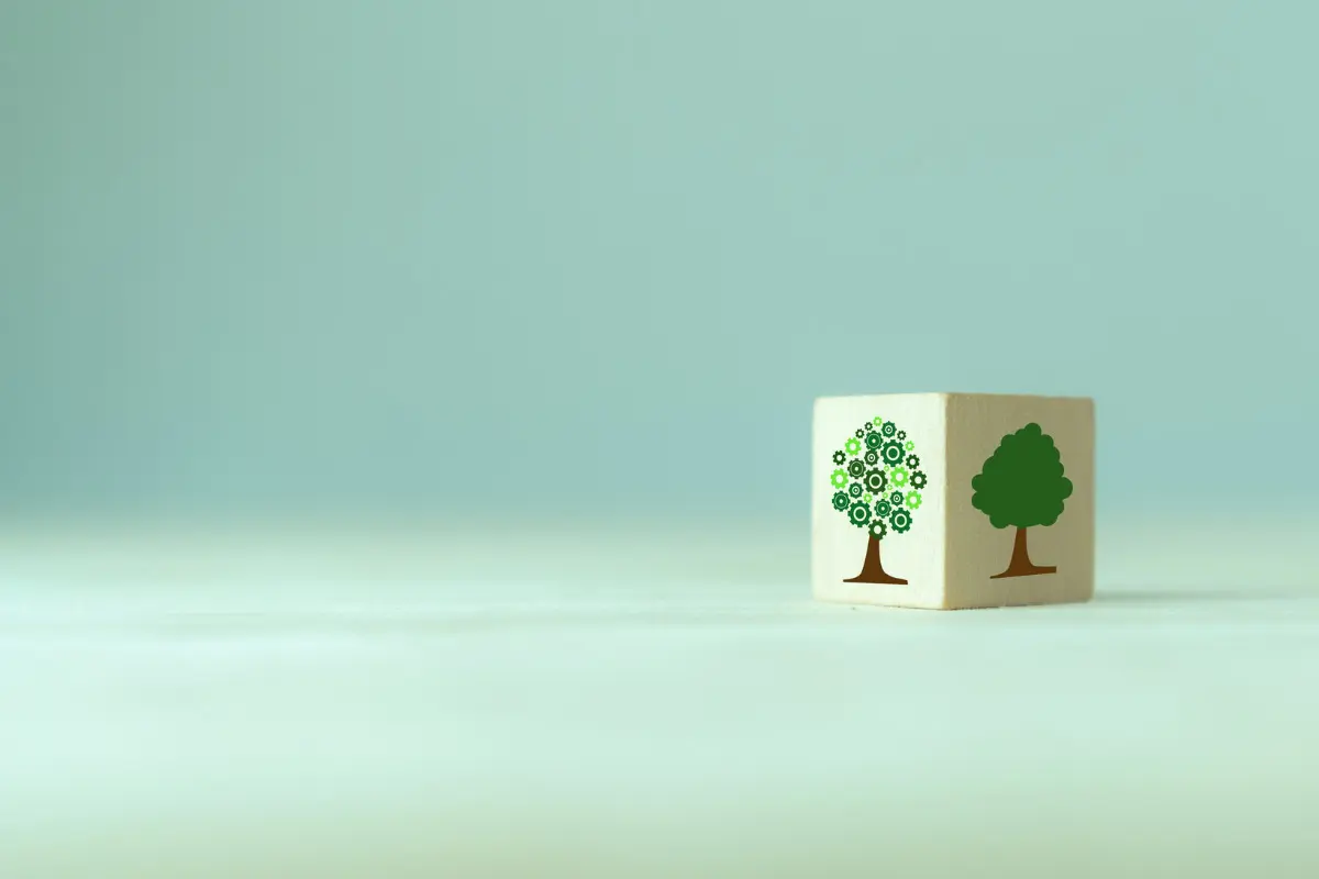 Gebraucht statt neu: Wie klimafreundlich ist der Autokauf wirklich?